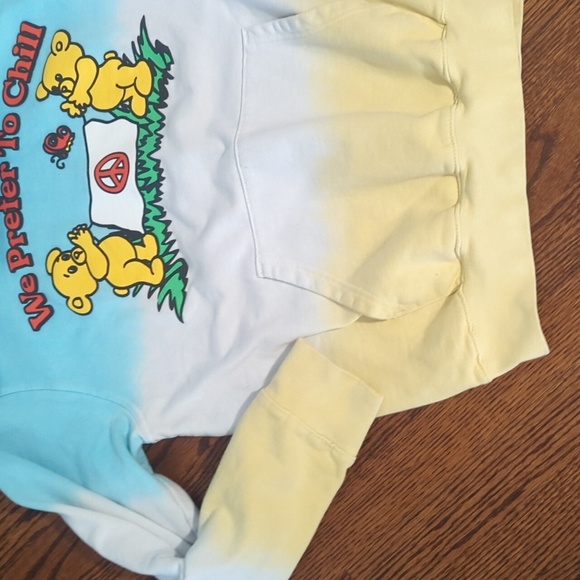 Cody KO Gradient Hoodie We Prefer To Chill Teddy Bear Graphic Whimsical Sz L - Picture 5 of 10